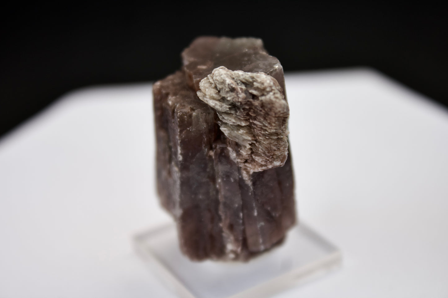 Purple Aragonite 10