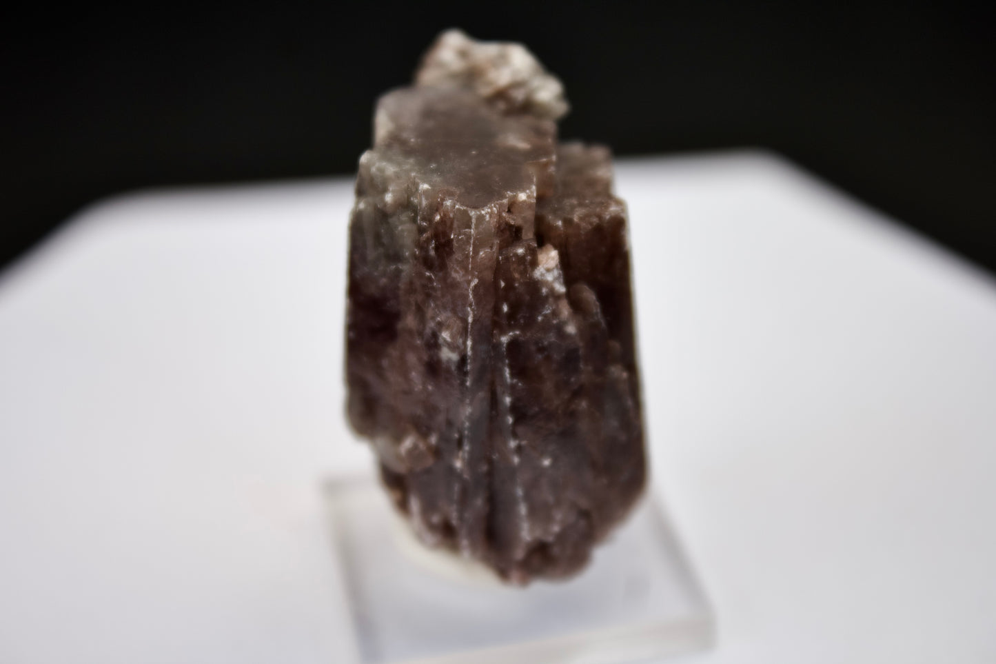Purple Aragonite 10