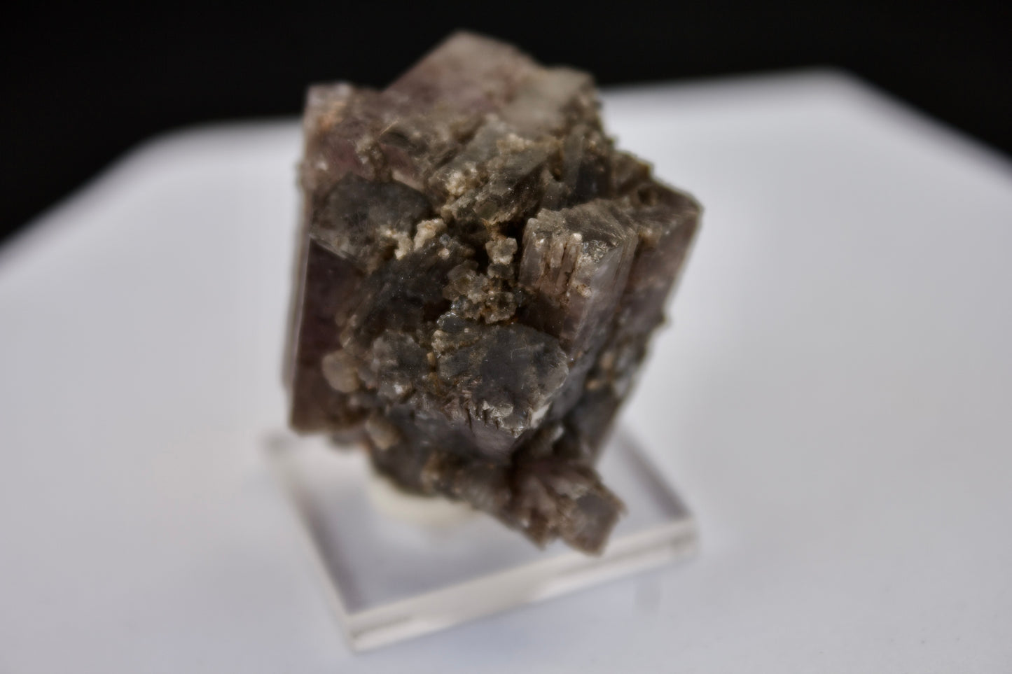 Purple Aragonite 11