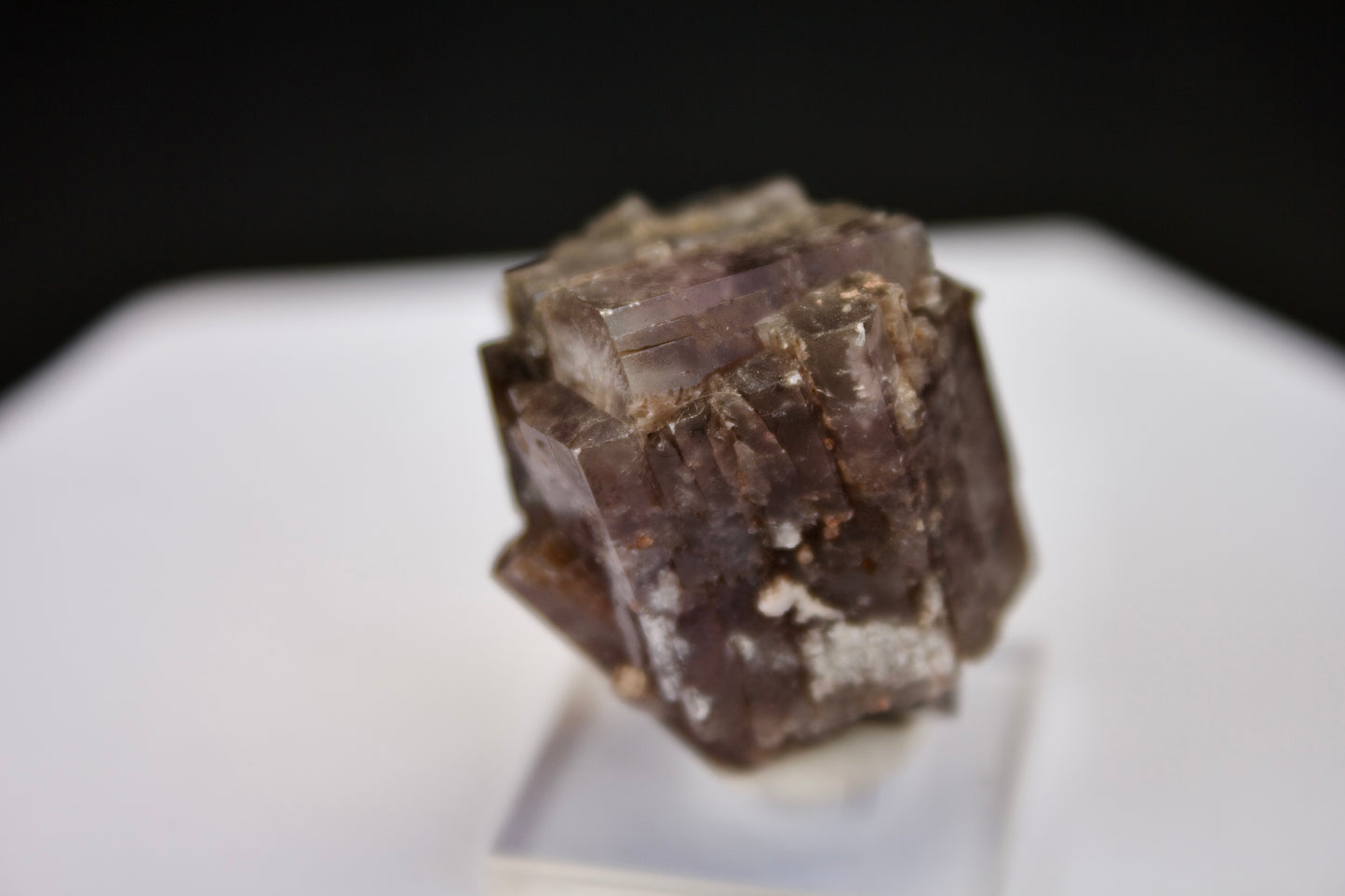 Purple Aragonite 11