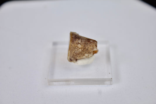 Uranus Mine Fluorite 2